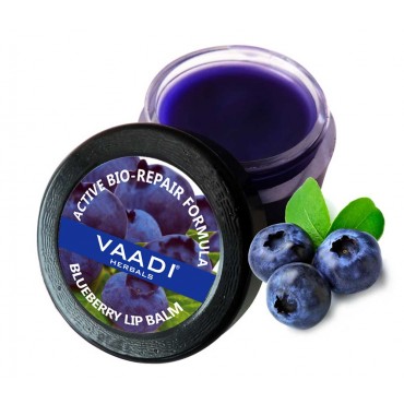 Vaadi Herbals Lip Balm - Blueberry (6 gms)